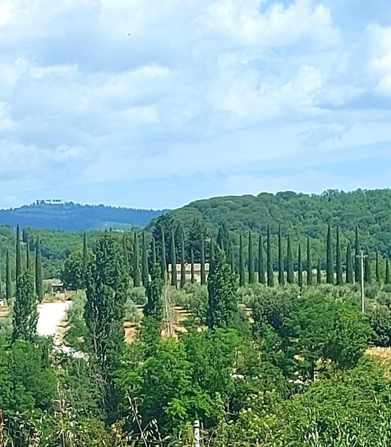 La Casa Di Elvira2 Βίλα Castelnuovo Berardenga Εξωτερικό φωτογραφία